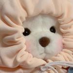 最最可爱的小李