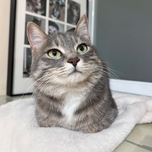podcaster-avatar
