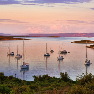 EP41 神经网络在时间序列趋势检测中的应用