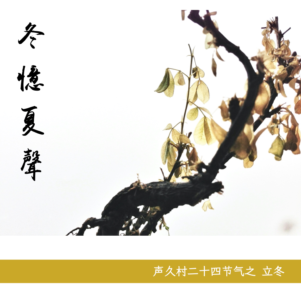 声久村二十四节气之立冬——冬忆夏声 episode artwork