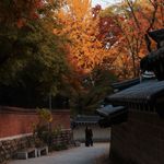 我很困我要睡觉啦