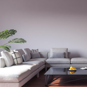 23 50后的职场女性｜我大姨的故事值得被听见