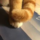 邢宇森