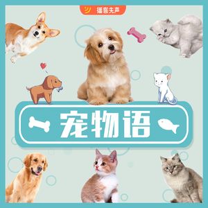 宠物语