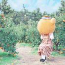 陆凤琳