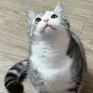 Jessica祝宗洁