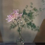 屋檐下的蕨菜饼