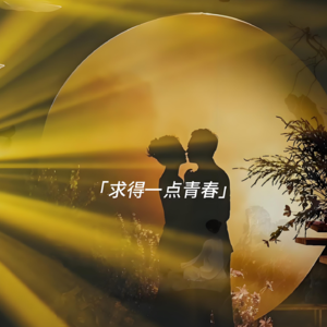 E2.罗文黄昏：时光与情感的经典回响