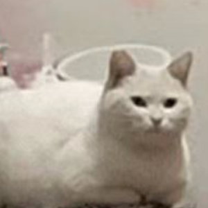 关于怕冷：生个气就手脚冰凉，怎么我月经也不来了！