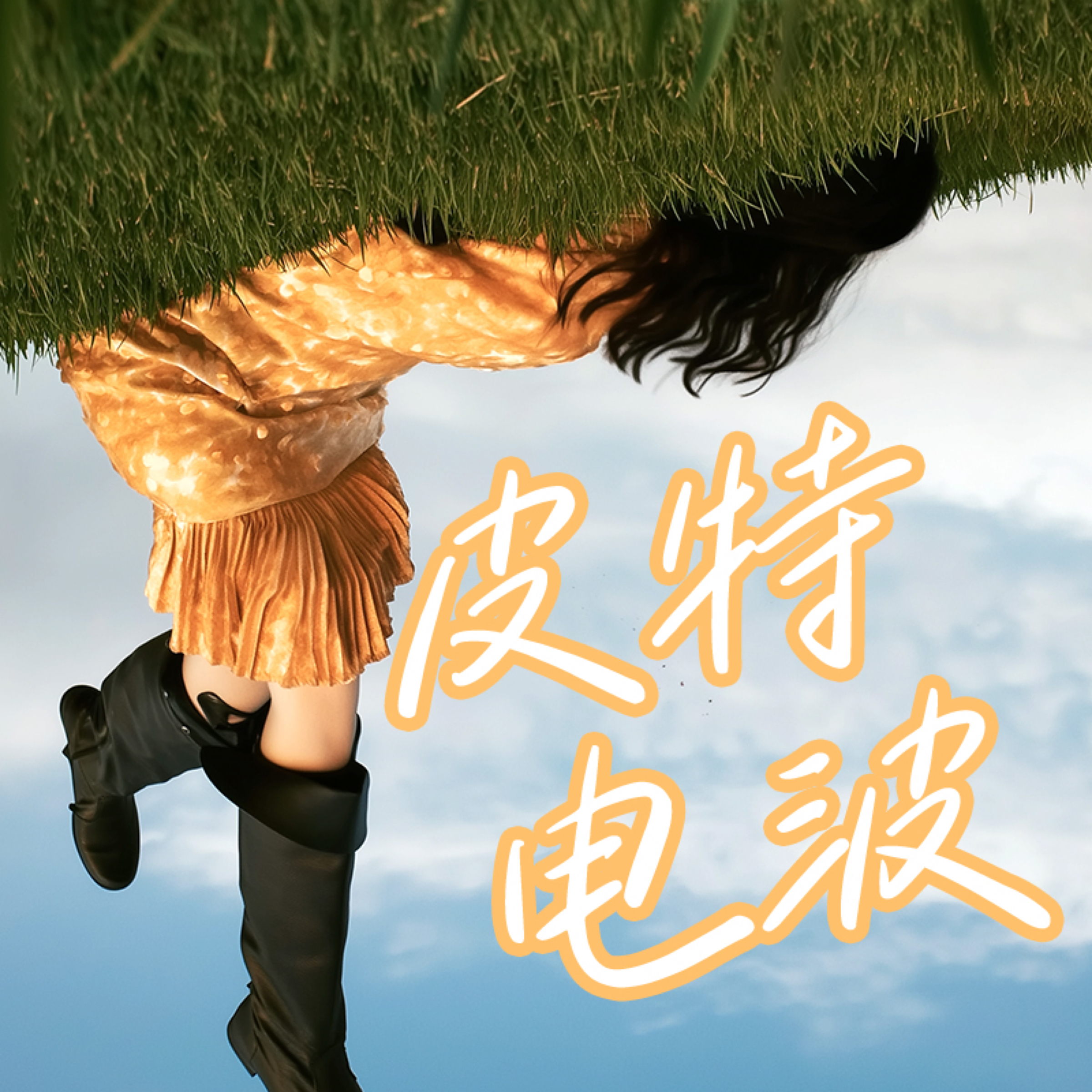 皮特电波 cover art