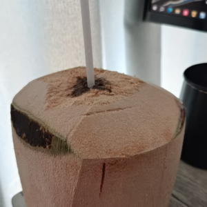 VOL96.今日立夏：一切快乐都想要，一切事物都永远存在。