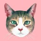 podcaster-avatar