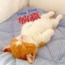 踏七彩云的牛魔王时差5小