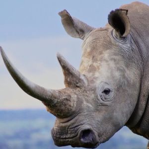 段永平2008年浙大演讲