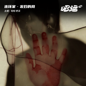 164·【案52】农妇的网：河南农妇追凶案