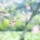 小璇_j7Ij