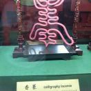 浸水塘的小小草