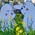 节日之后,重建内外废墟-别急着好起来,先死一死(含练习引导)