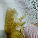最后_jPyL