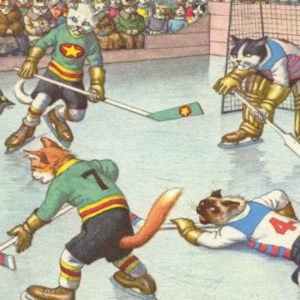 加美冰球比赛的打架打人