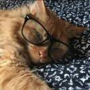 每天睡到自然醒_9nqN