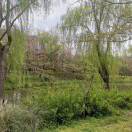 树欲静而风不止_TGfw