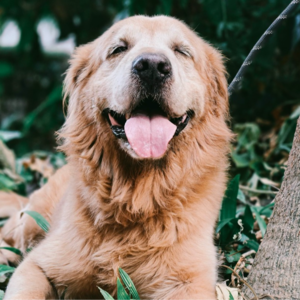 劳动争议系列——先从签卖身契说起