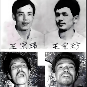 62.「80 年代惊天血案」东北二王的疯狂逃亡与覆灭之路