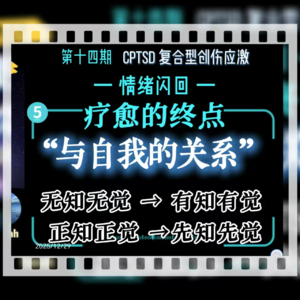 旷野漫谈||第十四期（5）CPTSD疗愈的终点：“与自我的关系”