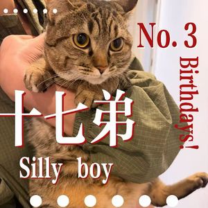 No.3 特辑:人生过半——我该如何自处