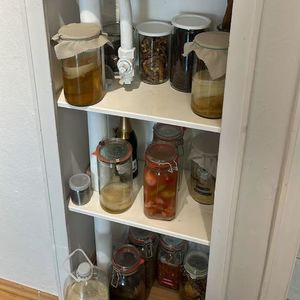 129. 串台午夜干杯：请和我交换菌群