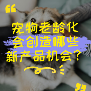 宠物老龄化会创造哪些新产品机会？