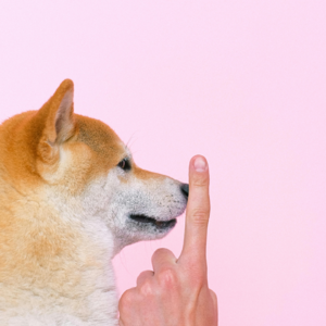 E15 不想说话，真的。