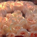 喵喵咪呀很可爱嘟