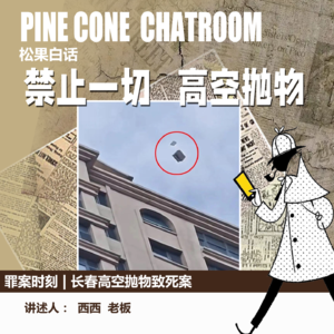 71.罪案时刻|天外横祸：长春高空抛物致死案