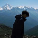 黛尔西