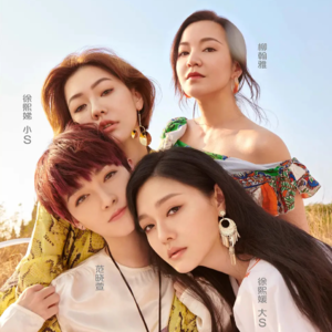 iq.只准自己定义的大S：挥别错的才能和对的相逢