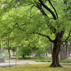 36. 强女驾到：做你自己，不要做任何人