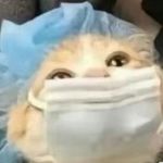 该用户不存在_BNRS