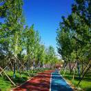 心量大福报就大