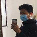 阿波罗的菠萝蜜