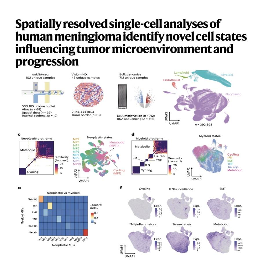 1191-Spatially Single-Cell Atlas of Human Meningioma episode artwork
