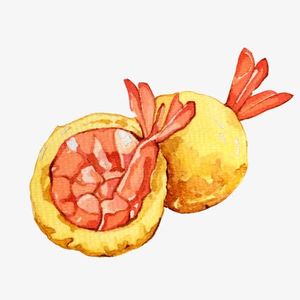 虾丸-上传大脑主播