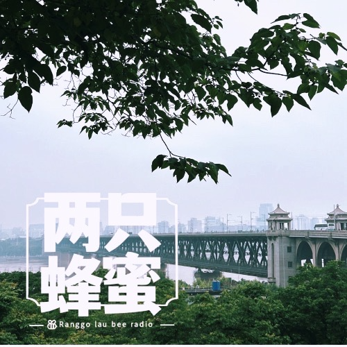 Vol.12 武汉游记（LiuShuiZhang） episode artwork