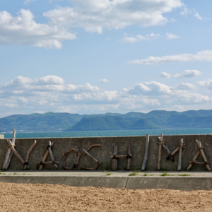 39. 濑户内海(一):从工业岛到艺术圣地的华丽蜕变