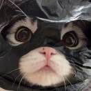 交易时间要交手机