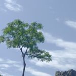 粑粑不高兴
