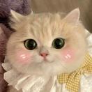 Momoyeye