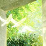 你需要氧气O