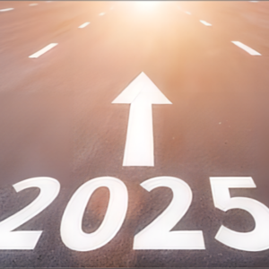 守正待变，静候花开—2024年度投资回顾与2025年展望